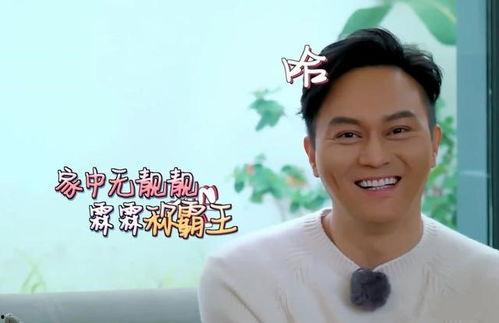 袁咏仪爆料丈夫视频播放,揭秘明星夫妻的甜蜜瞬间 第3张 袁咏仪爆料丈夫视频播放,揭秘明星夫妻的甜蜜瞬间 第3张