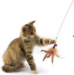 猫神爆料自己参训的视频,揭秘电竞选手日常训练幕后  第3张 猫神爆料自己参训的视频,揭秘电竞选手日常训练幕后  第3张