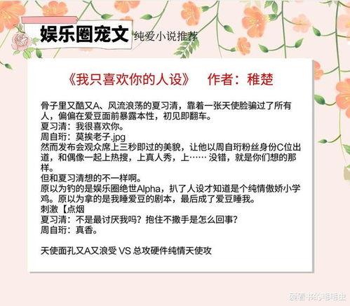 娱乐圈爆料有哪些小说,揭秘明星背后的小说世界