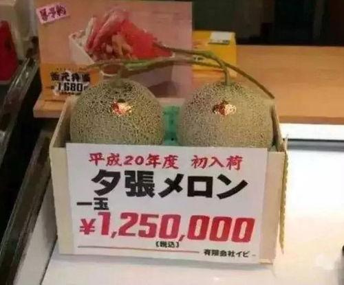 吃瓜群众休闲娱乐馆,一站式娱乐新体验  第1张 吃瓜群众休闲娱乐馆,一站式娱乐新体验  第1张