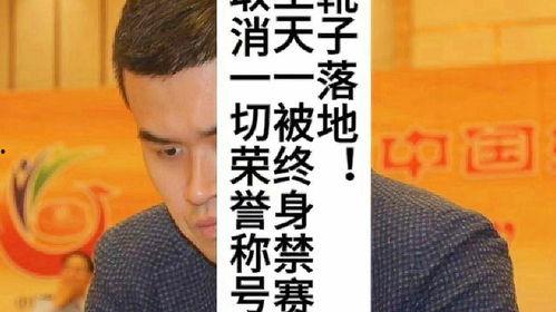 象棋刘笑最新爆料录音门,象棋界最新爆料揭秘  第3张 象棋刘笑最新爆料录音门,象棋界最新爆料揭秘  第3张