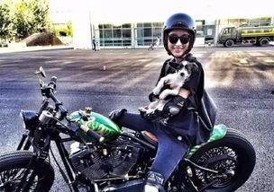 爆料机车女神视频大全,揭秘视频大全中的绝美瞬间  第2张