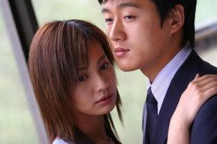 电视剧蝴蝶飞飞在线观看  第2张