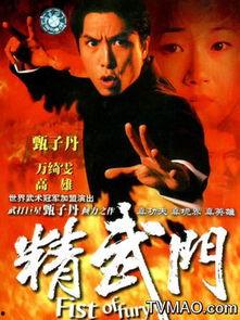 精武门完整版在线观看,热血传奇，在线重温  第3张