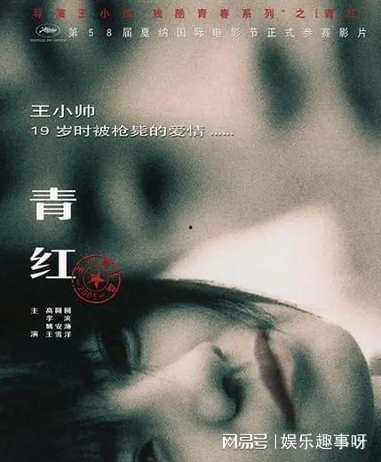 电影青红在线观看,穿越时空的青春记忆  第2张