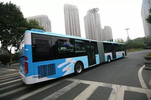 南京公交车爆料视频大全,揭秘城市交通瞬间  第3张