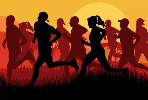 西安男子跑步爆料新闻,引发考古热潮 第2张 西安男子跑步爆料新闻,引发考古热潮 第2张