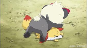 莎莉的第一次在线观看,首次在线观影之旅