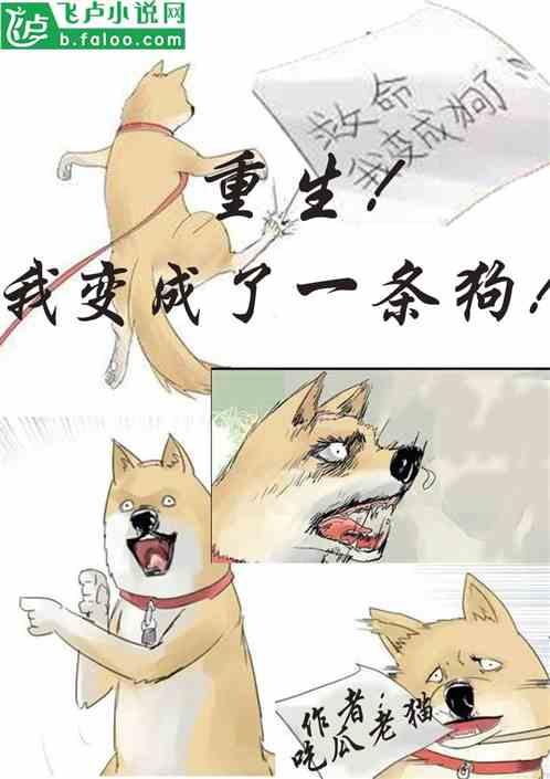 吃瓜朝廷小说免费阅读  第2张