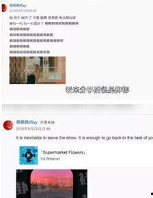 新晋博主爆料视频下载网站,热门视频下载网站大曝光！  第2张