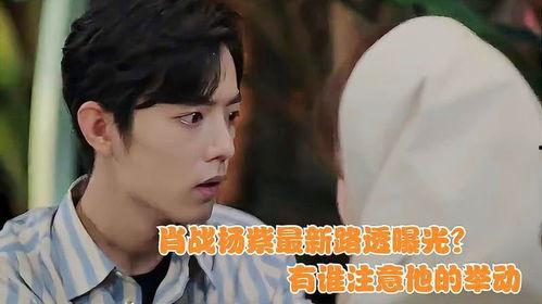 肖战杨紫爆料网友视频  第1张