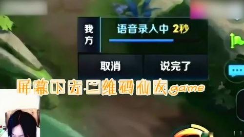 大仙弟弟爆料视频,独家幕后故事大公开  第3张