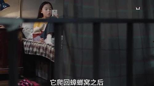 国外小姐姐爆料视频大全,揭秘真实生活瞬间  第3张