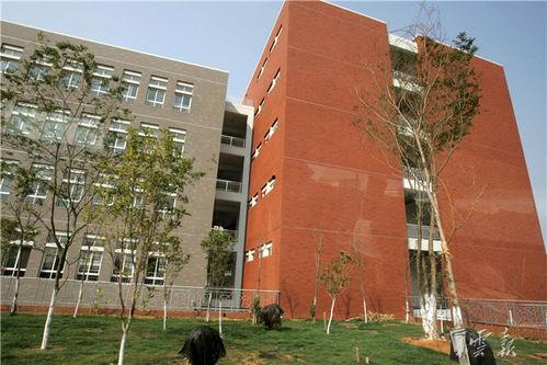 云南高校免费吃瓜资源群,免费吃瓜资源群大揭秘 第3张 云南高校免费吃瓜资源群,免费吃瓜资源群大揭秘 第3张