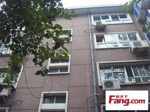 石家庄二院爆料新闻最新,揭秘医院内部惊人真相  第2张