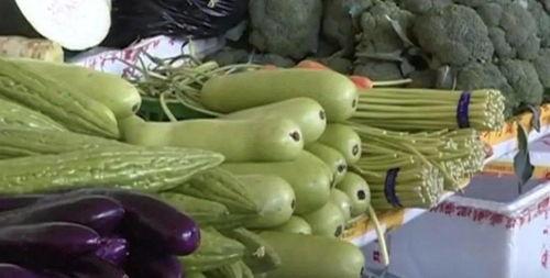 网红吃葫芦瓜视频大全播放,视频大全播放量爆表! 第2张 网红吃葫芦瓜视频大全播放,视频大全播放量爆表! 第2张