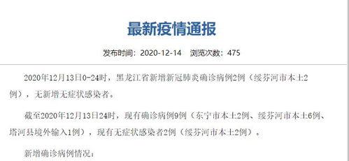 黑龙江新增病例最新爆料,最新疫情动态解析  第3张