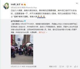温州官方爆料新闻,重大事件引发社会关注
