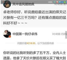 娱乐问答爆料怎么写,最新爆料背后的故事与真相