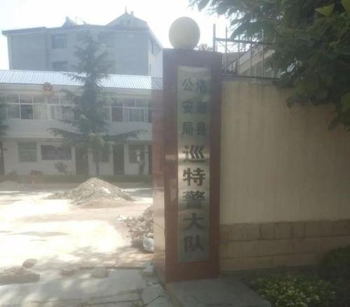 洛南爆料最新消息今天,今日热点事件最新进展揭秘！