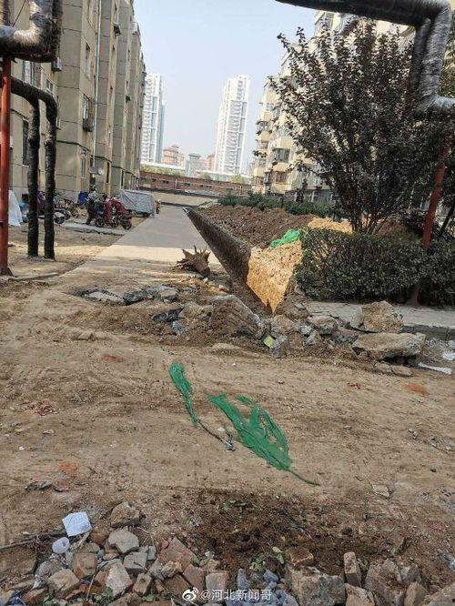 河北新闻哥石家庄爆料,河北新闻哥揭秘城市热点事件