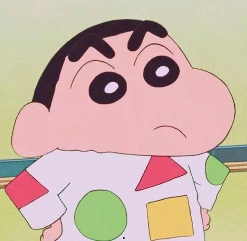 蜡笔小新爆料正男视频合集