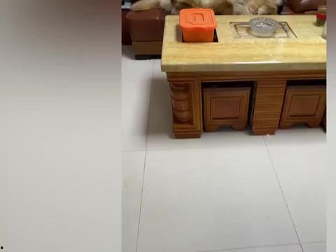 娱乐吃瓜酱夹子音,揭秘娱乐圈幕后趣闻 第2张 娱乐吃瓜酱夹子音,揭秘娱乐圈幕后趣闻 第2张