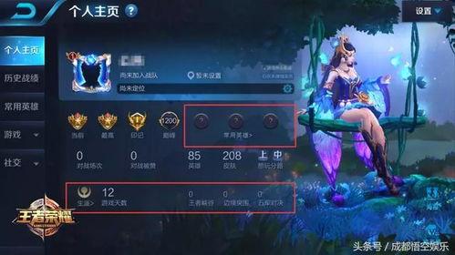 王者樱花爆料视频大全,揭秘游戏新内容与精彩瞬间  第3张