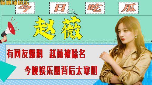 爆料别人娱乐圈,揭秘明星背后的秘密与真相 第3张 爆料别人娱乐圈,揭秘明星背后的秘密与真相 第3张