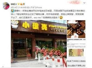 哈尔滨最新爆料炸鸡店,独家秘制，美味炸鸡盛宴来袭！  第2张