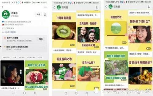 百果园爆料视频大全下载,一窥水果界的秘密与奇闻 第2张 百果园爆料视频大全下载,一窥水果界的秘密与奇闻 第2张