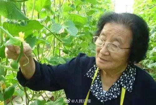 有父爱但不多娱乐吃瓜酱,品味生活中的温馨与趣味