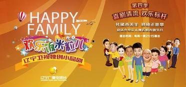 辽宁卫视回看在线观看,重温经典，畅享精彩瞬间  第2张