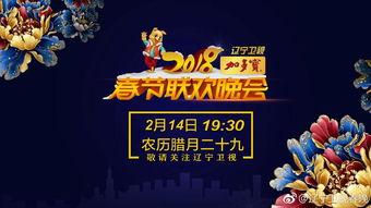 辽宁卫视回看在线观看,重温经典，畅享精彩瞬间  第3张
