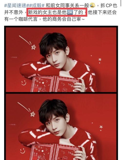 圈内人爆料成毅的恋情,神秘女友身份引热议 第2张 圈内人爆料成毅的恋情,神秘女友身份引热议 第2张