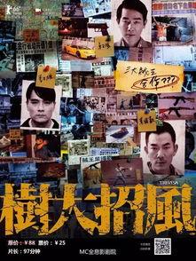 在线观看树大招风,揭秘网络时代下的隐私危机与安全挑战  第1张