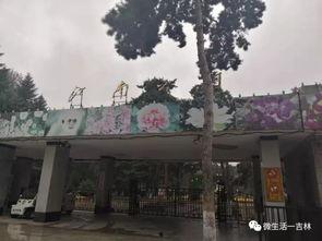 吉林公园爆料视频最新,揭秘公园背后的惊人真相