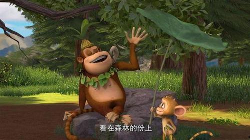 熊出没卡片最新爆料,最新爆料揭秘神秘卡片背后的秘密  第3张