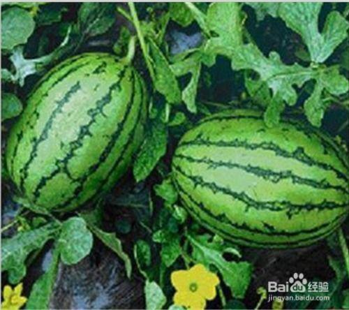 吃瓜网免费吃瓜黑料泄密,吃瓜网免费吃瓜黑料泄密,独家爆料娱乐圈幕后真相 第2张 吃瓜网免费吃瓜黑料泄密,吃瓜网免费吃瓜黑料泄密,独家爆料娱乐圈幕后真相 第2张
