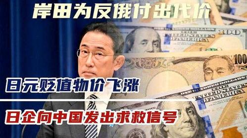 日代价在线观看,揭秘每日精彩瞬间 第2张 日代价在线观看,揭秘每日精彩瞬间 第2张
