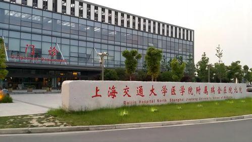 上海瑞金医院最新爆料,前沿医疗技术突破与临床应用  第3张