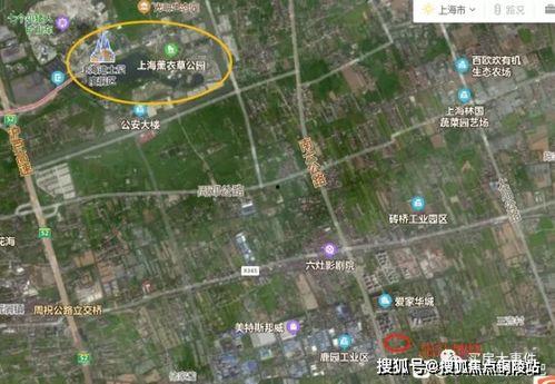 雪玲妃爆料图文大全最新,揭秘娱乐圈不为人知的秘密 第2张 雪玲妃爆料图文大全最新,揭秘娱乐圈不为人知的秘密 第2张