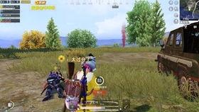 和平精英视频爆料没了,视频揭秘游戏重大更新 第3张 和平精英视频爆料没了,视频揭秘游戏重大更新 第3张