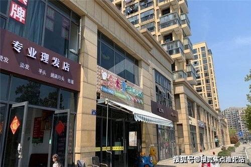 虹桥新苑最新爆料,揭秘神秘豪宅背后的故事  第2张