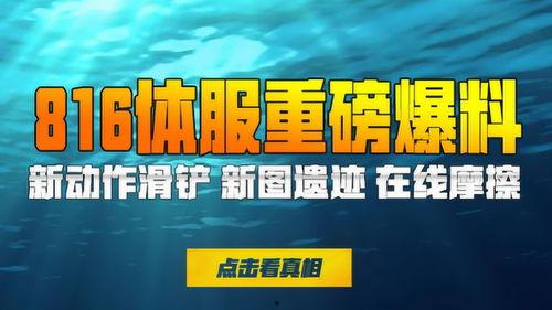 体服最新爆料,全新内容与玩法大曝光！  第1张