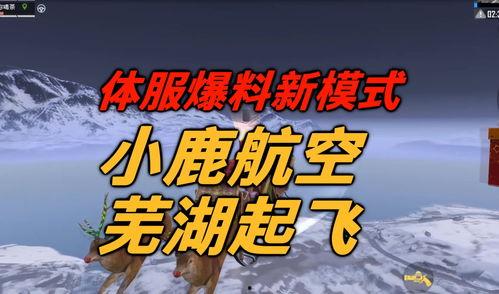 体服最新爆料,全新内容与玩法大曝光！  第2张
