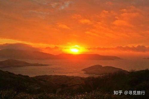日出东方在线观看,日出东方在线观看之旅  第2张