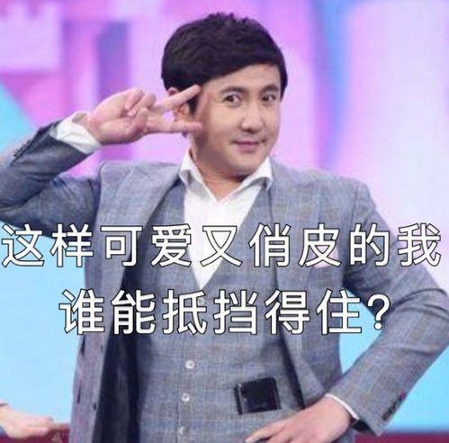 沈腾爆料王彦霖视频合集,视频合集带你领略喜剧之王的搞笑魅力  第2张