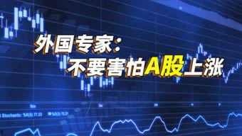 燃视频爆料热线,揭秘幕后真相，直击社会热点  第2张