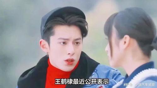 王鹤棣和杨紫的爆料视频,幕后故事与真实情感大公开